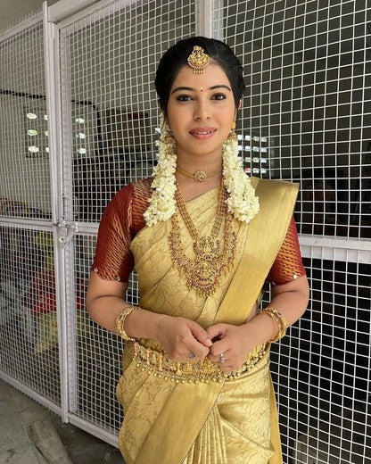 Woman in traditional gold saree with jewelry against a wire mesh background